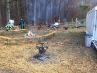 Feuerstelle_Tannenbaumschlagen