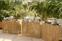 Hawaii_Buffetbau