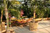 Hawaii_Fuechteschiff