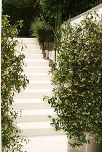 Weisse-Party_Treppe