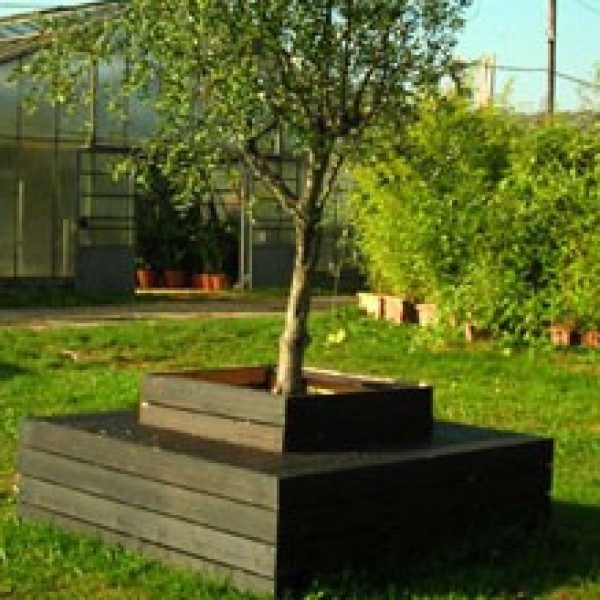 Baumbank für z. B. Olivenbaum