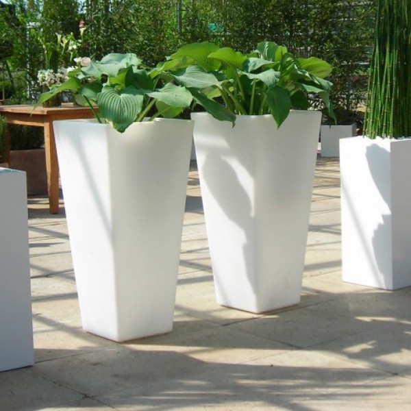 Hosta in SLIDE-Vase weiß