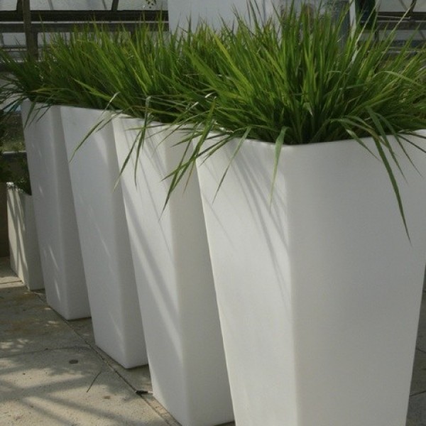 Panicum im ASA-Kubus weiß oder grau, inkl. Kies