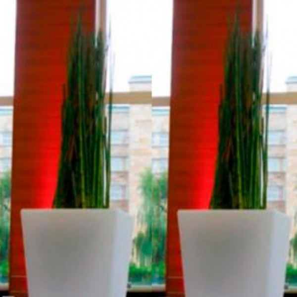 Equisetum in Slide-Vase