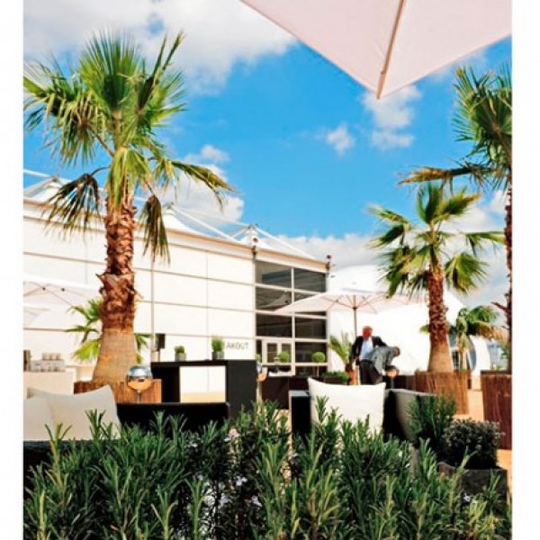 Washingtonia XL mit Weidenmatte