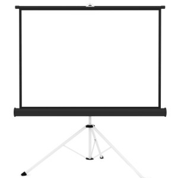 Rolloleinwand